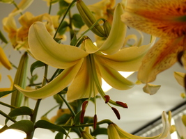 Foto: Dr. Peter Müller